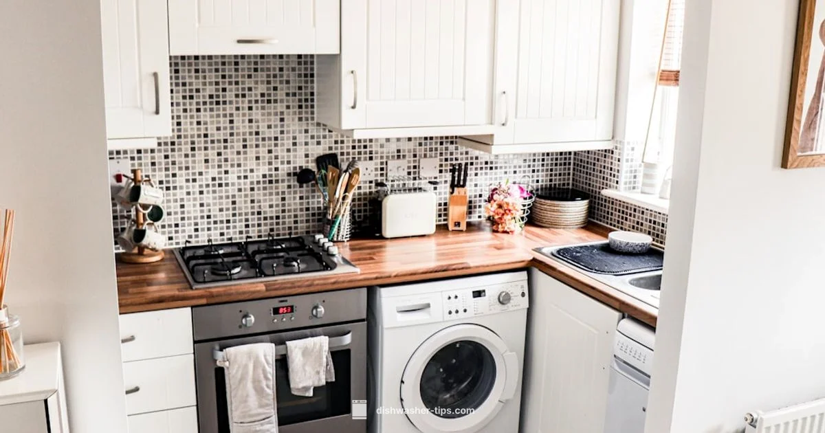 Dishwashers Popularity - Dishwasher Tips