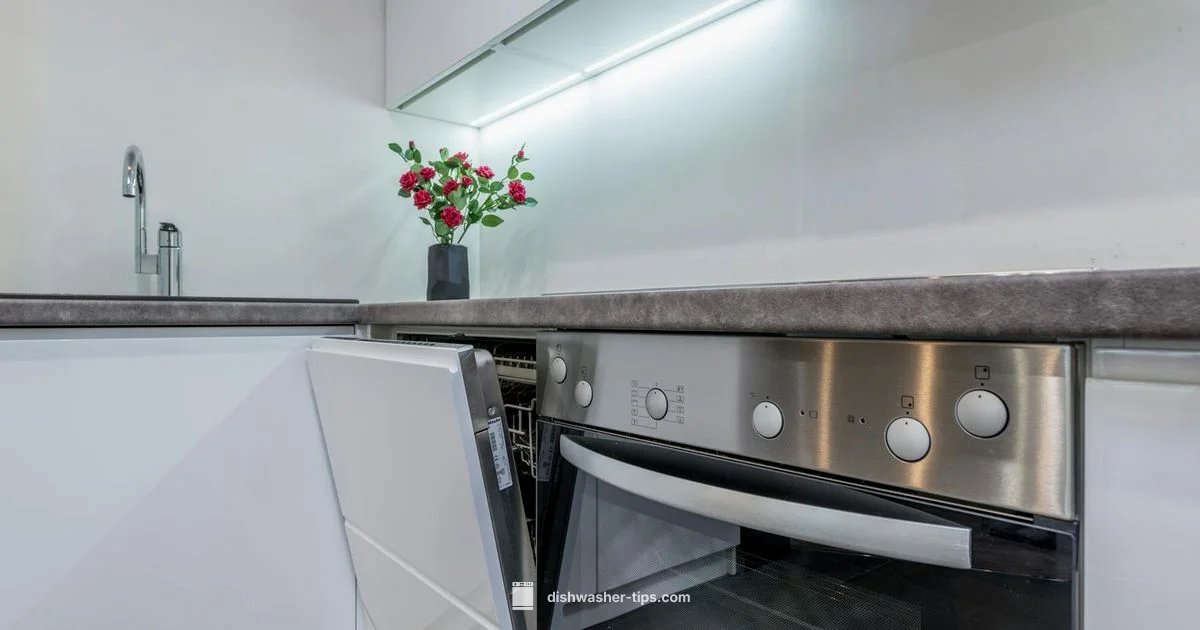 Dishwasher Mechanics - Dishwasher Tips