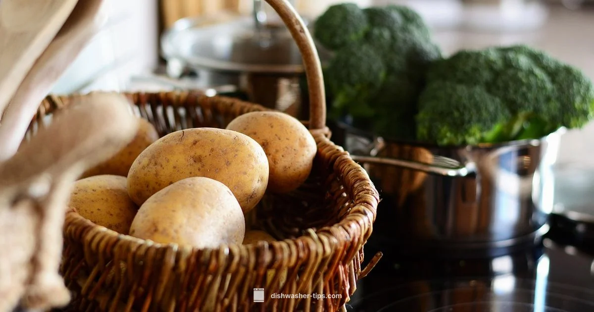 Dishwasher Dilemma - Dishwasher Tips