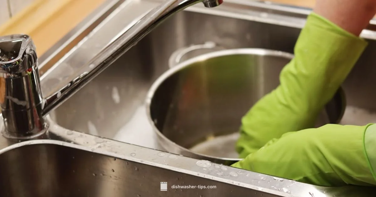 Dishwasher Maintenance - Dishwasher Tips