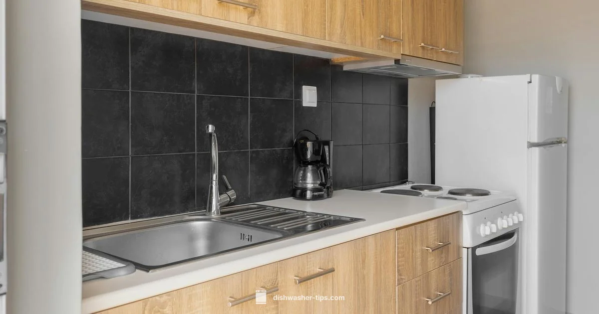 Small Space, Big Clean - Dishwasher Tips