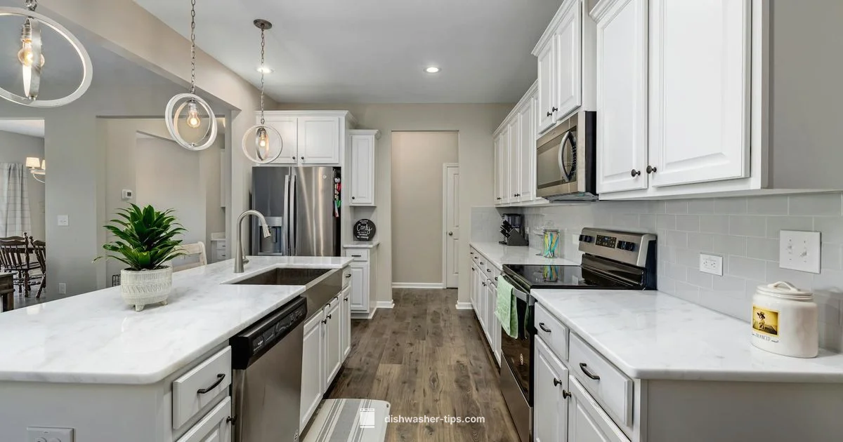 Dishwasher Care Guide - Dishwasher Tips