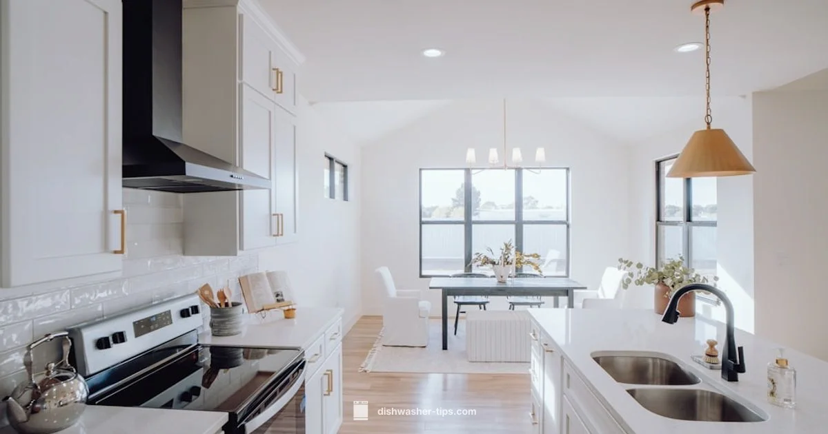 Used Dishwasher Guide - Dishwasher Tips