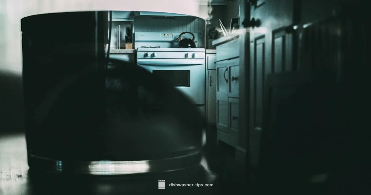 Fix a Dishwasher Leak - Dishwasher Tips