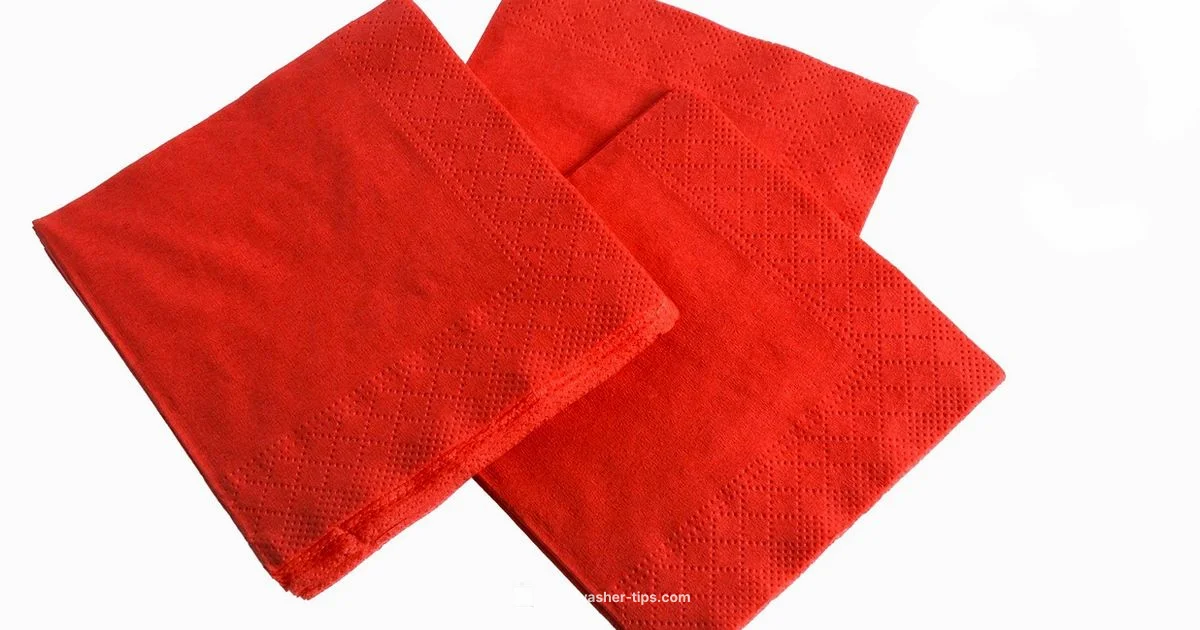 Sanitize in Action - Dishwasher Tips