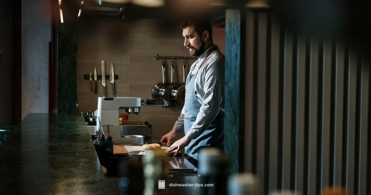 Commercial Dishwasher Machine - Dishwasher Tips