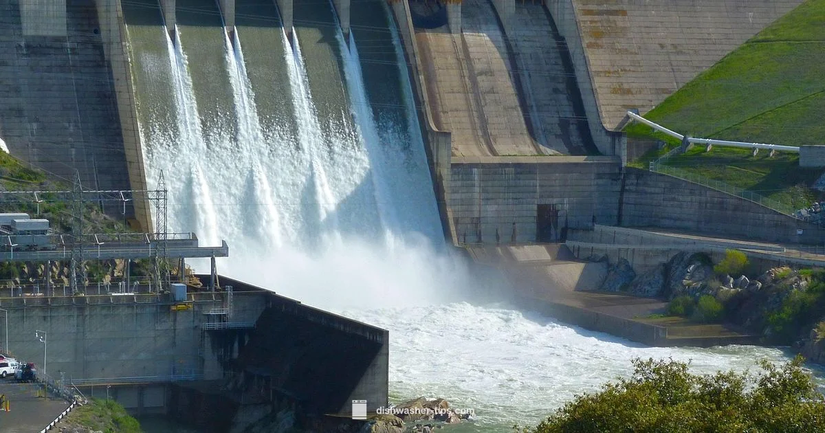 Overflow Valve Leak - Dishwasher Tips