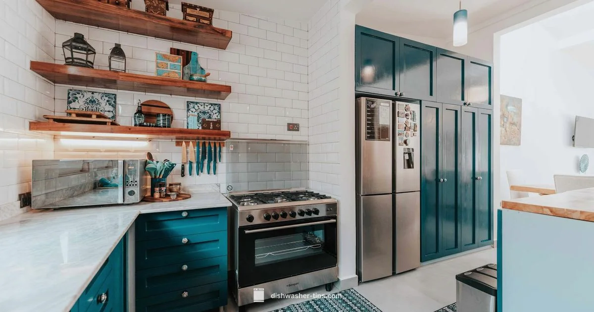 Single Drawer Dishwashers - Dishwasher Tips