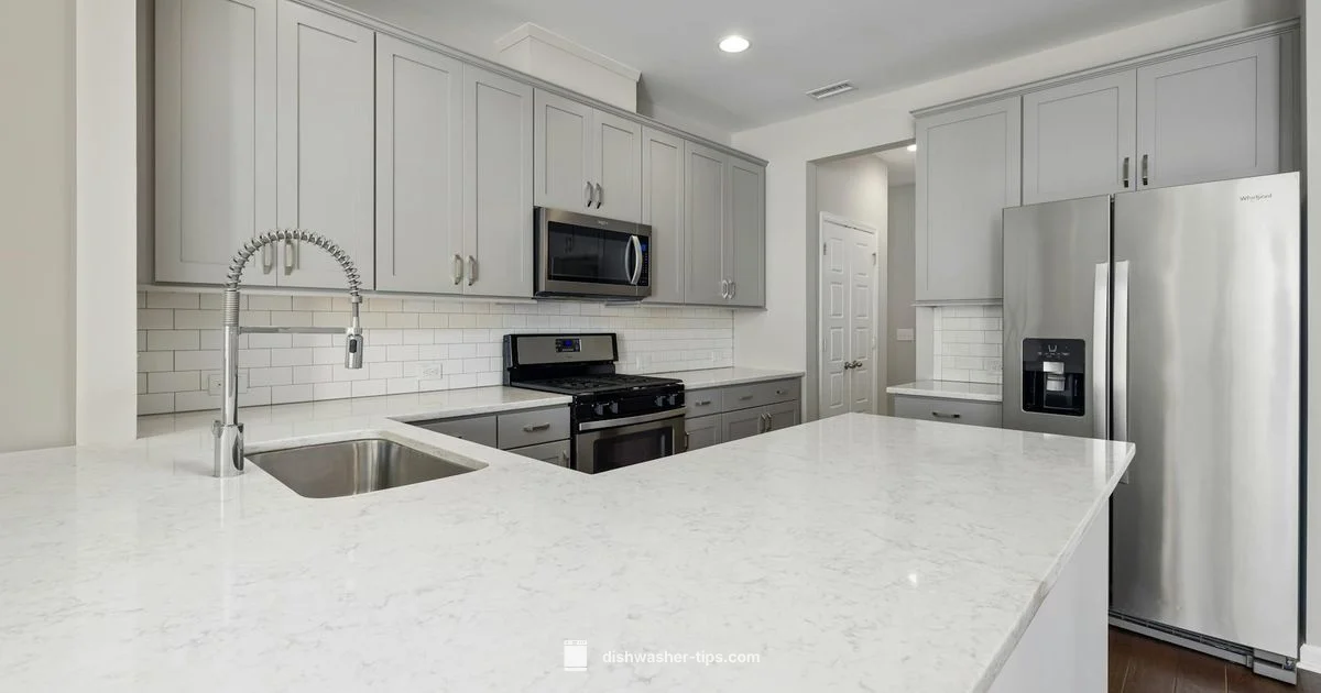 Top Indian Dishwashers - Dishwasher Tips