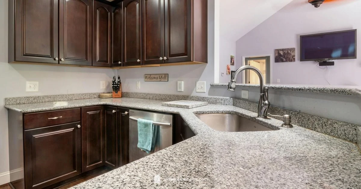 Worth It in India - Dishwasher Tips