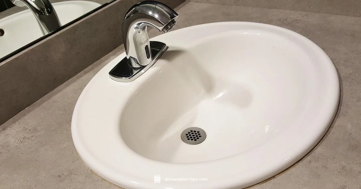 Dishwasher Connection - Dishwasher Tips