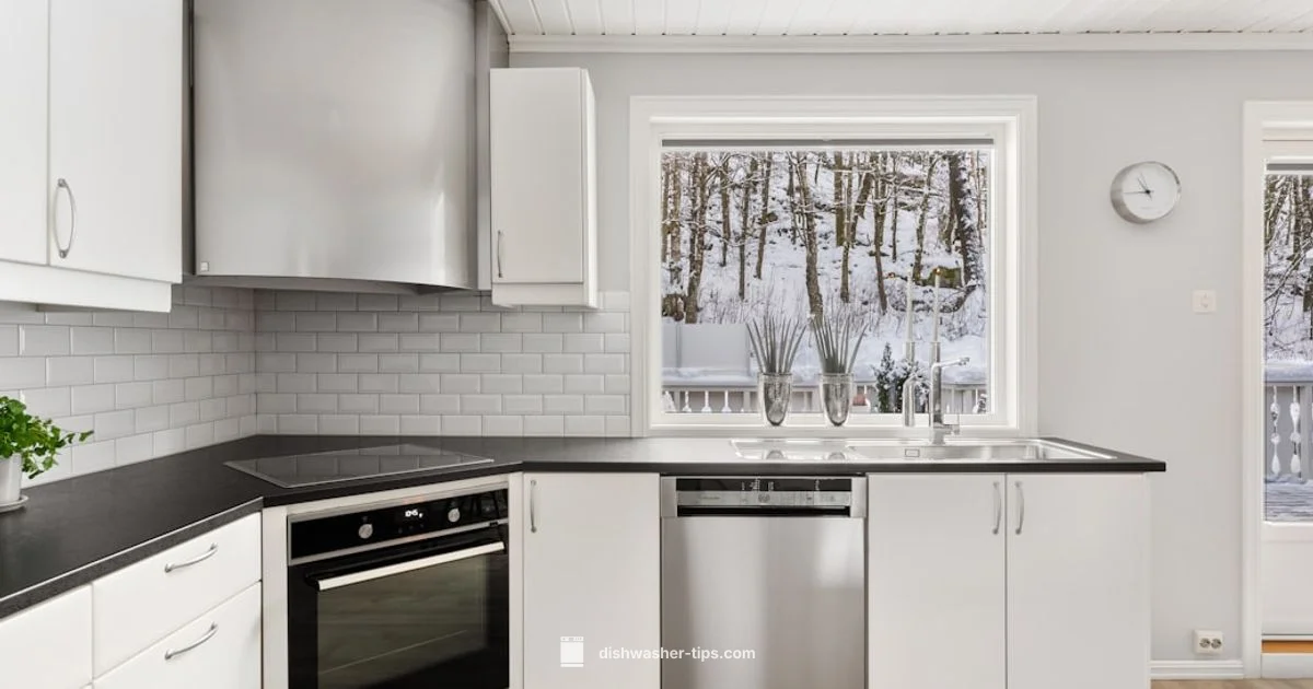 Dishwasher Replacement Guide - Dishwasher Tips