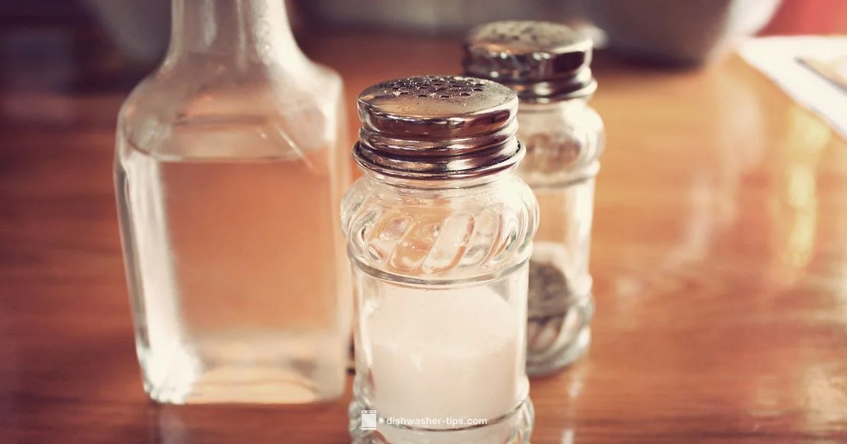 Vinegar Cleaning - Dishwasher Tips