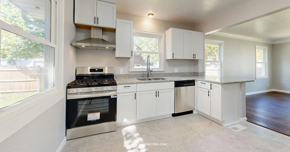 Install Cost Insights Install Cost Insights - Dishwasher Tips