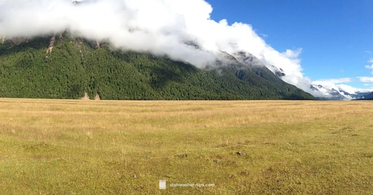 Frigidaire Black DW - Dishwasher Tips