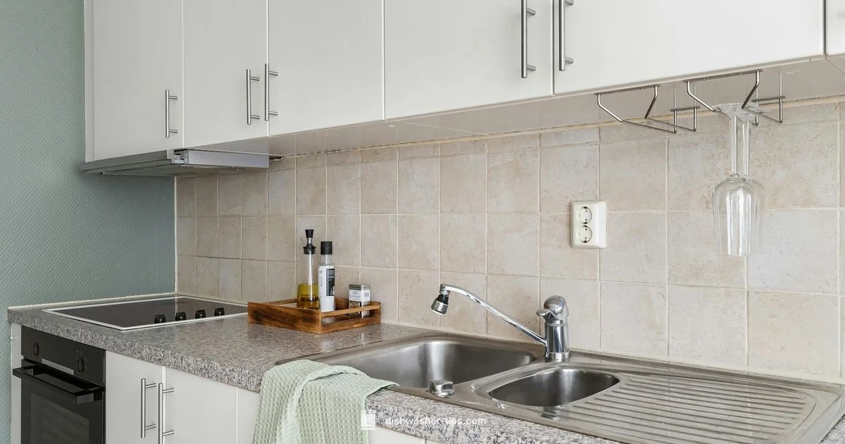 Compact Kitchen Duo - Dishwasher Tips