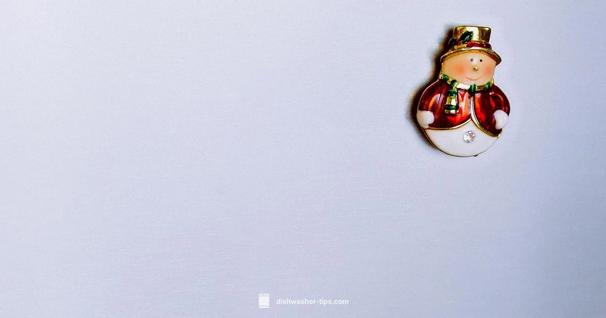 Dishwasher Operation Guide - Dishwasher Tips