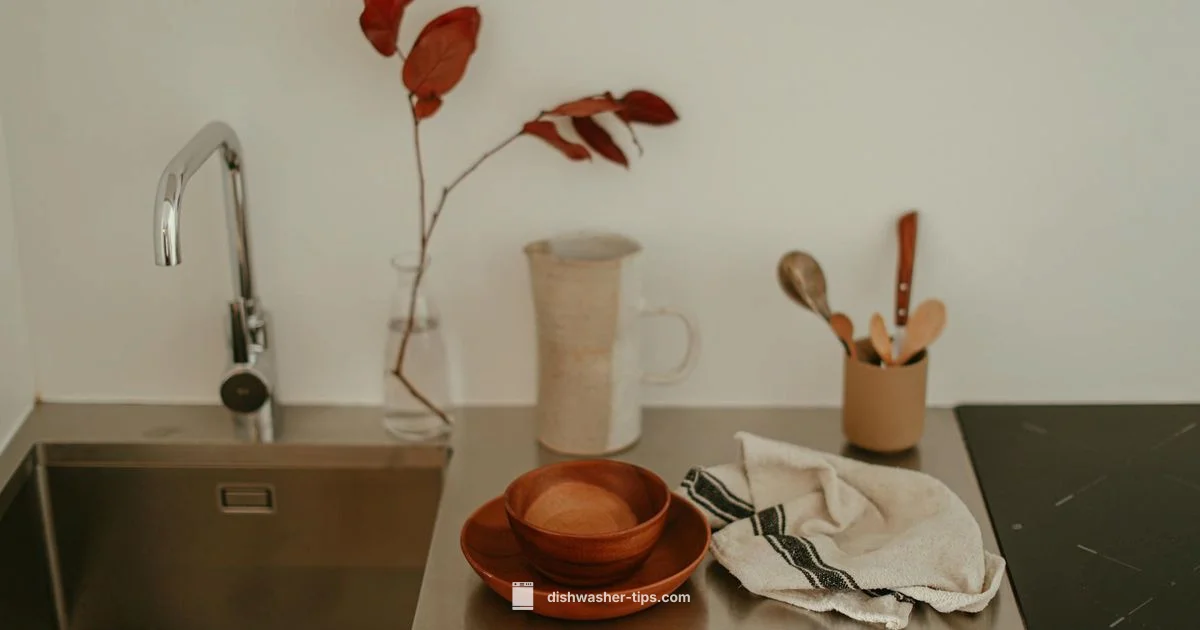 Disposal and Dishwasher - Dishwasher Tips