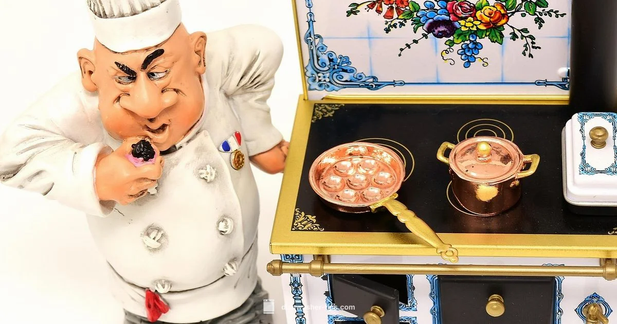 French Dishwasher Term - Dishwasher Tips