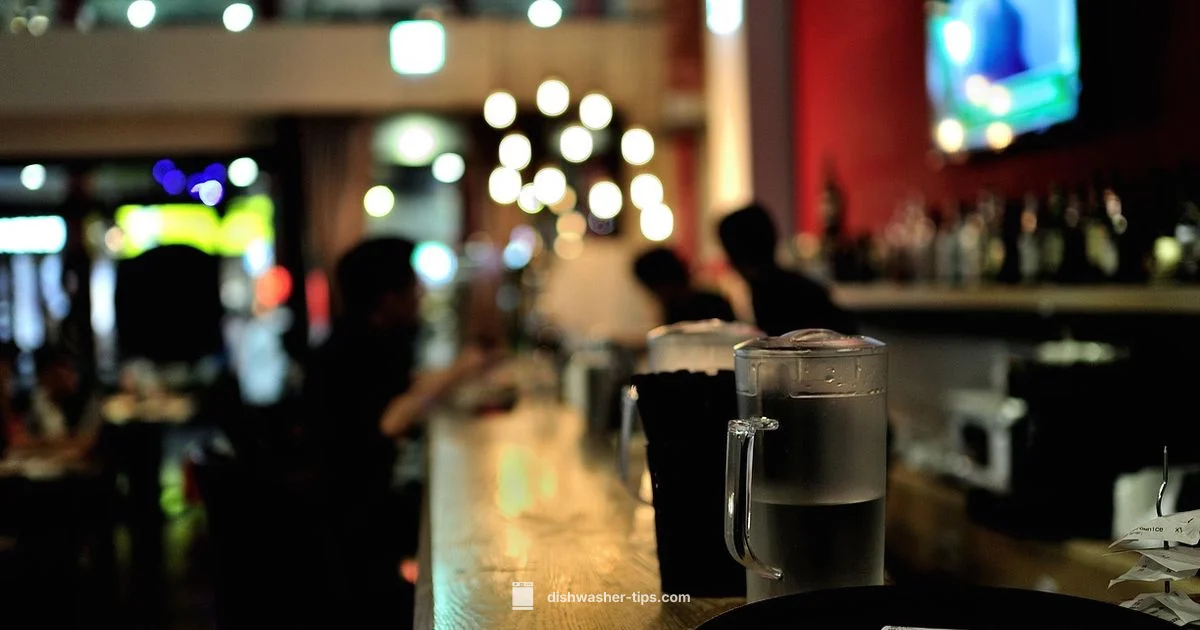 Restaurant Dishwasher Role - Dishwasher Tips