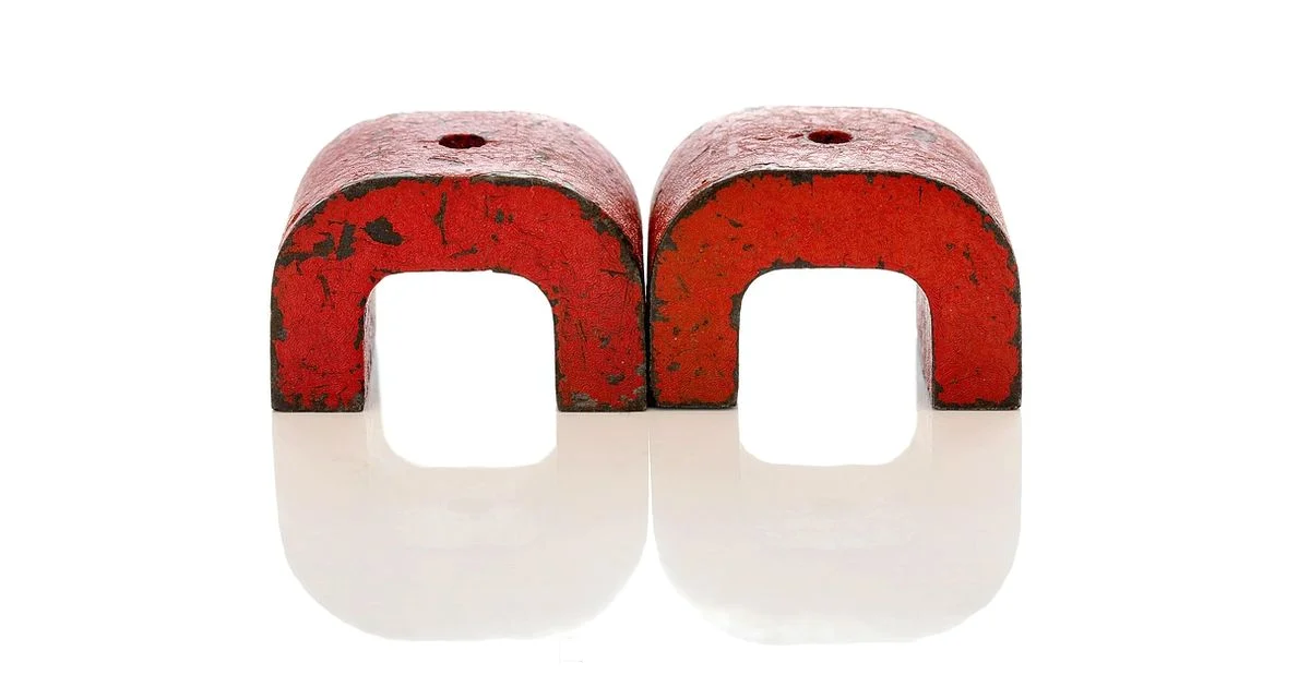 Magnet Myth Busted - Dishwasher Tips