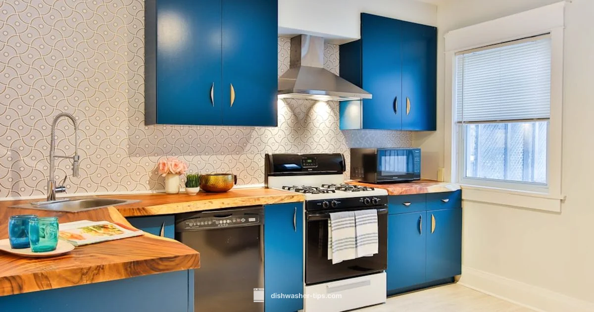 Dishwasher vs Bottle Washer - Dishwasher Tips