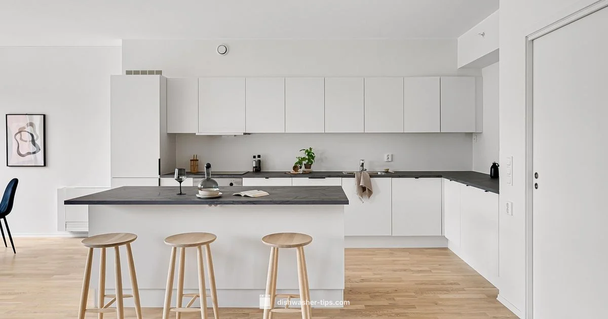 Dishwasher Drain Setup - Dishwasher Tips