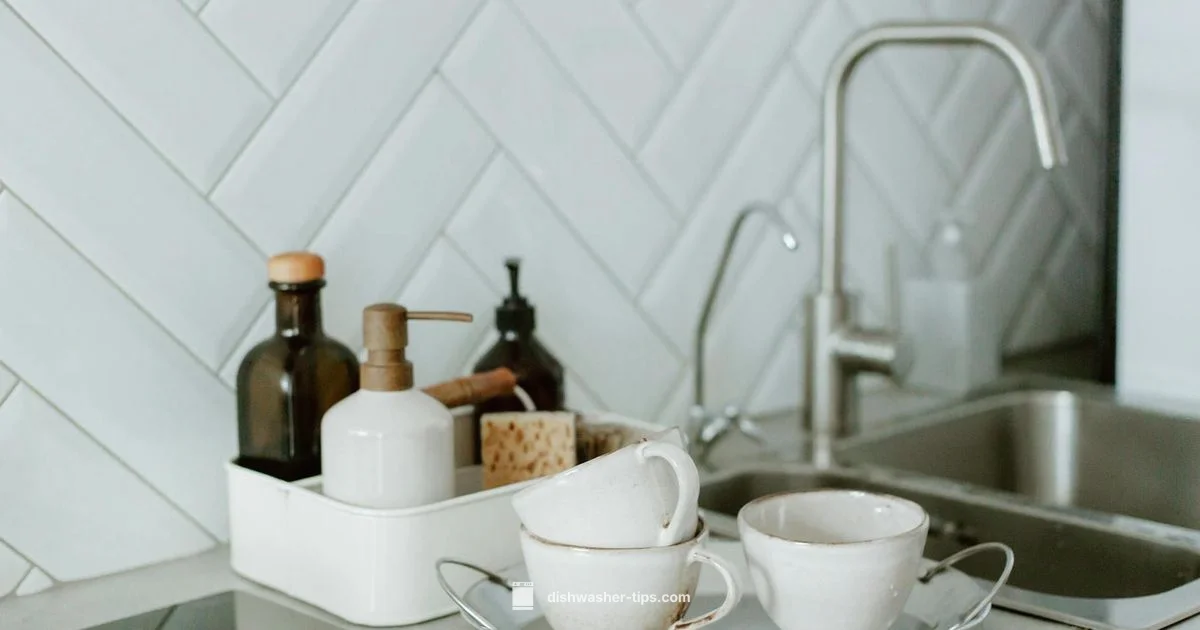 Attitude Soap Guide - Dishwasher Tips