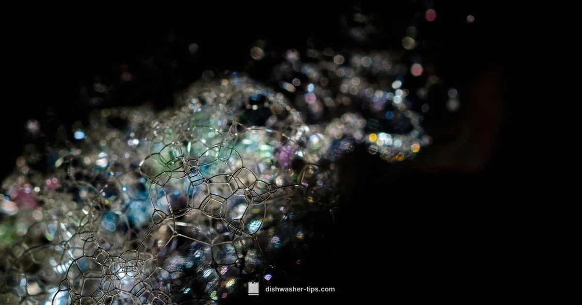 Gel Detergent Guide - Dishwasher Tips