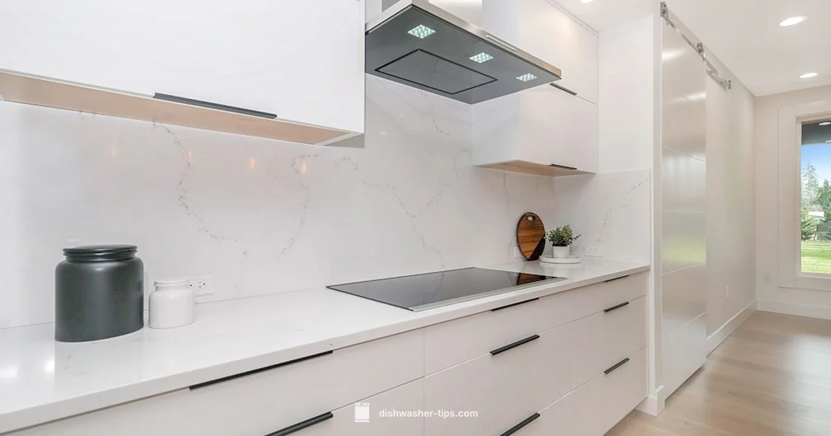 Built-In Guide - Dishwasher Tips