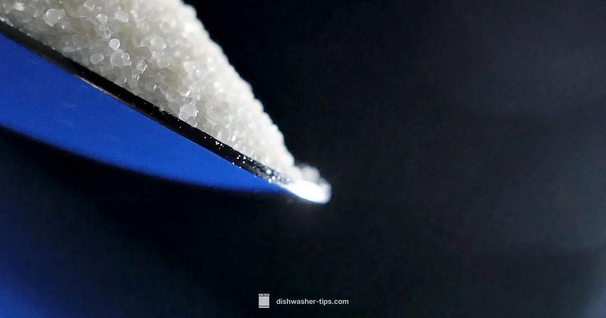 Salt in Dishwashers - Dishwasher Tips