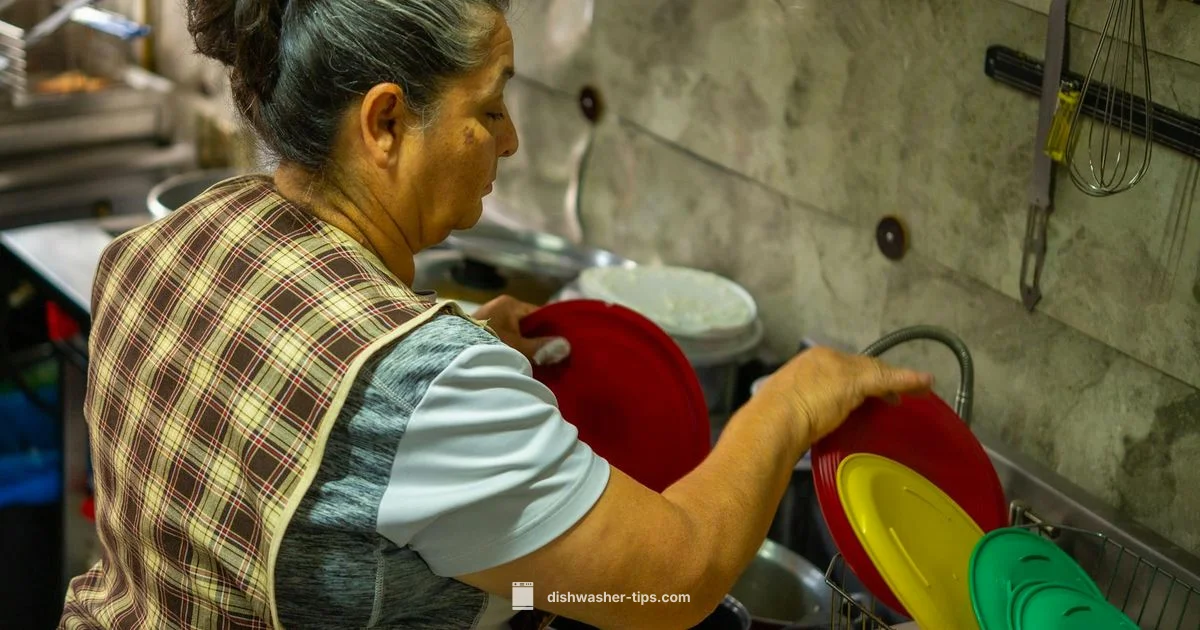Drain Fix Guide - Dishwasher Tips