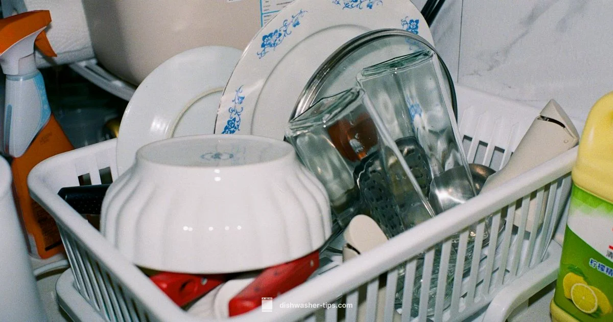 Stanley Cup Care - Dishwasher Tips