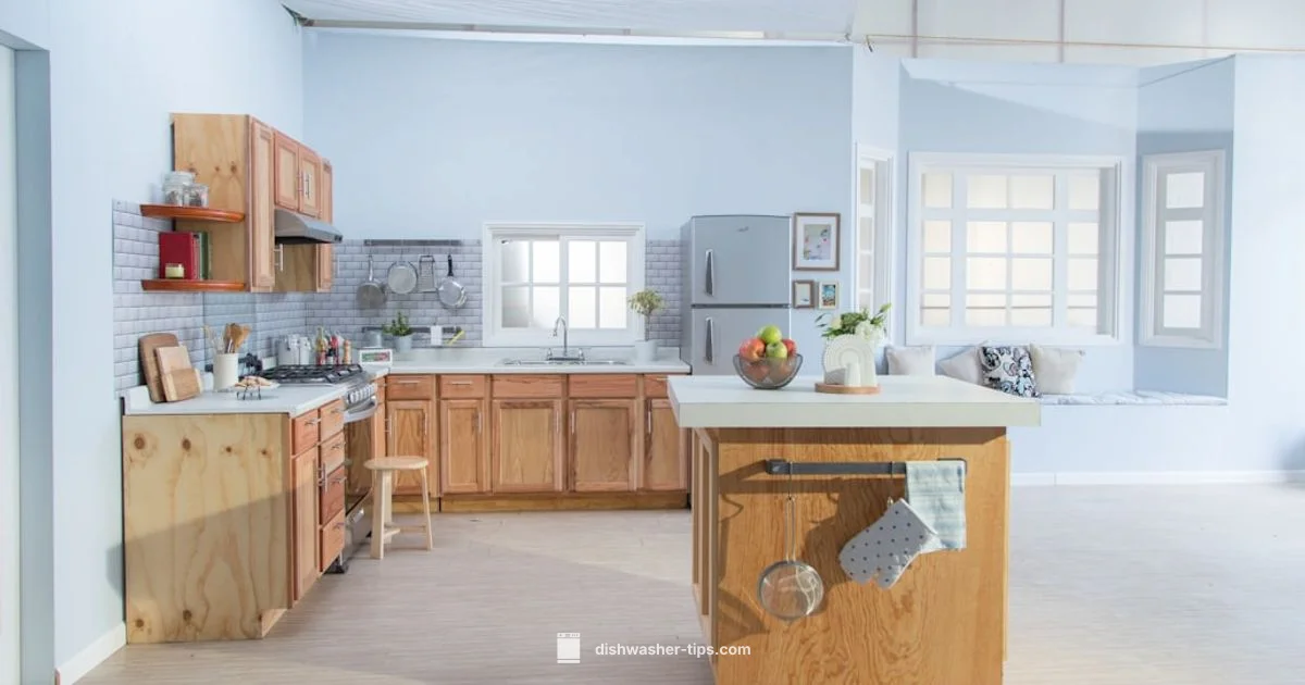 Used Dishwasher Guide - Dishwasher Tips