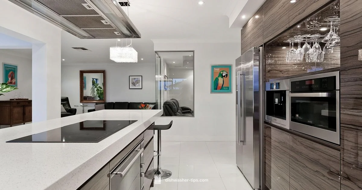 Island Sink Setup - Dishwasher Tips