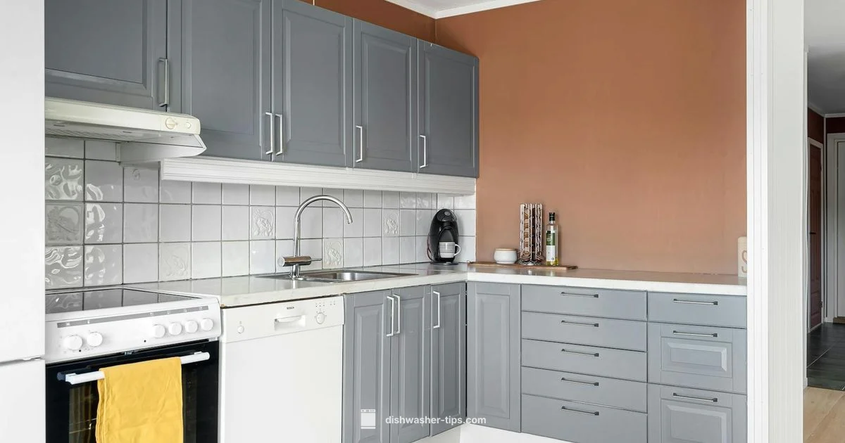 Hard Water Safe - Dishwasher Tips