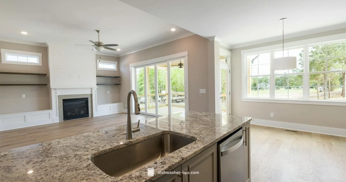 Dry Run Fix - Dishwasher Tips