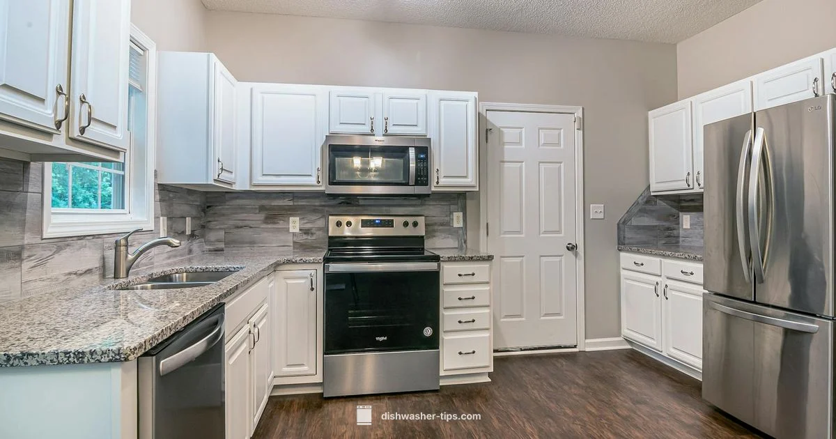 Dishwasher Stand Guide - Dishwasher Tips