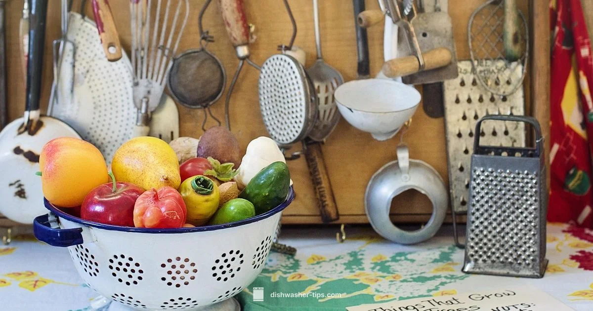 Retro Dishwashers Guide - Dishwasher Tips