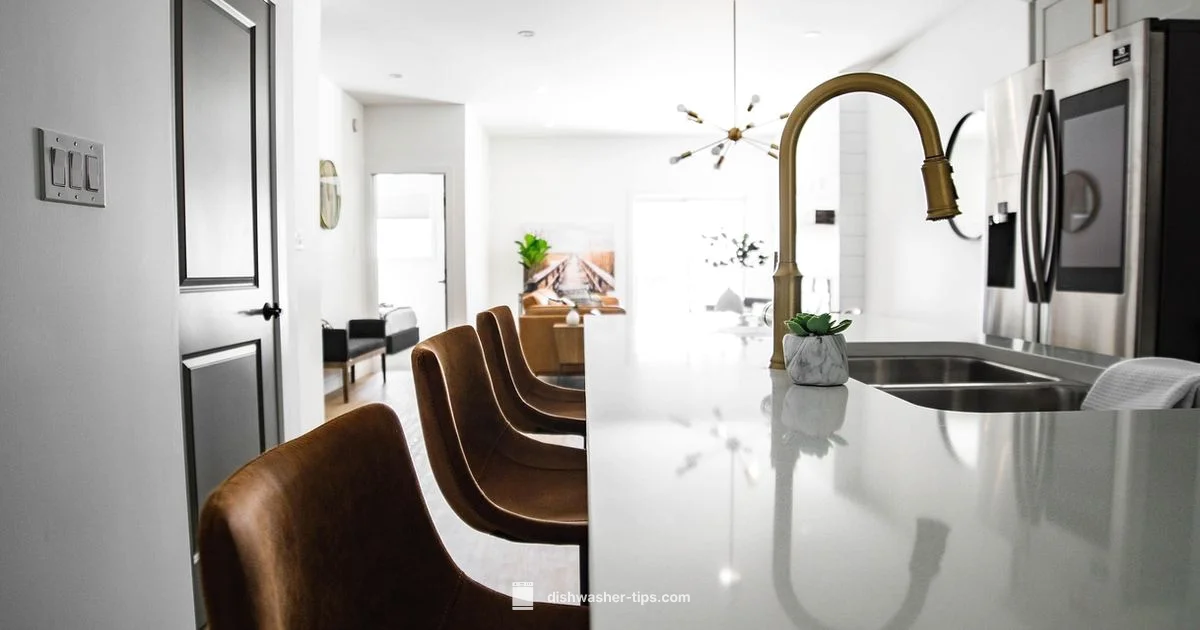 Small Kitchen Solution - Dishwasher Tips