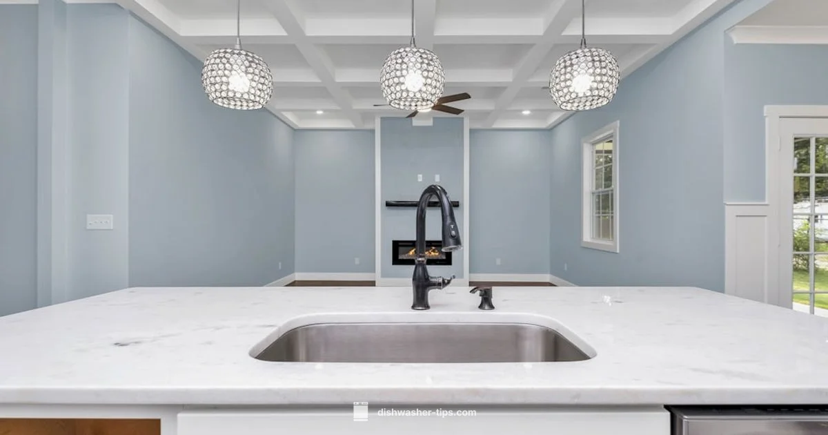 Secure Drain Hose - Dishwasher Tips