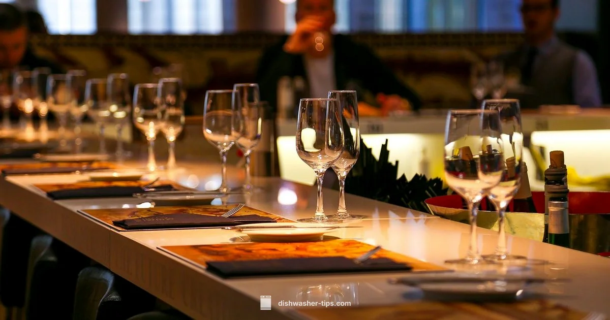 Dishwasher Essentials Guide - Dishwasher Tips