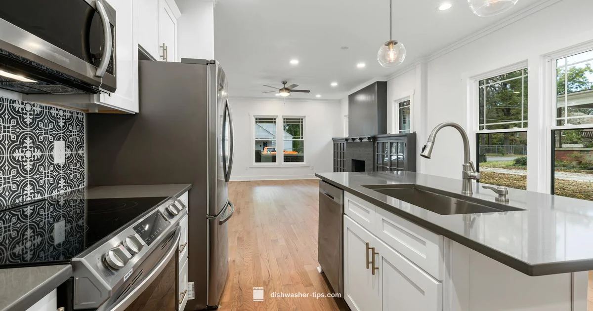 Raised-Floor Dishwasher Removal - Dishwasher Tips