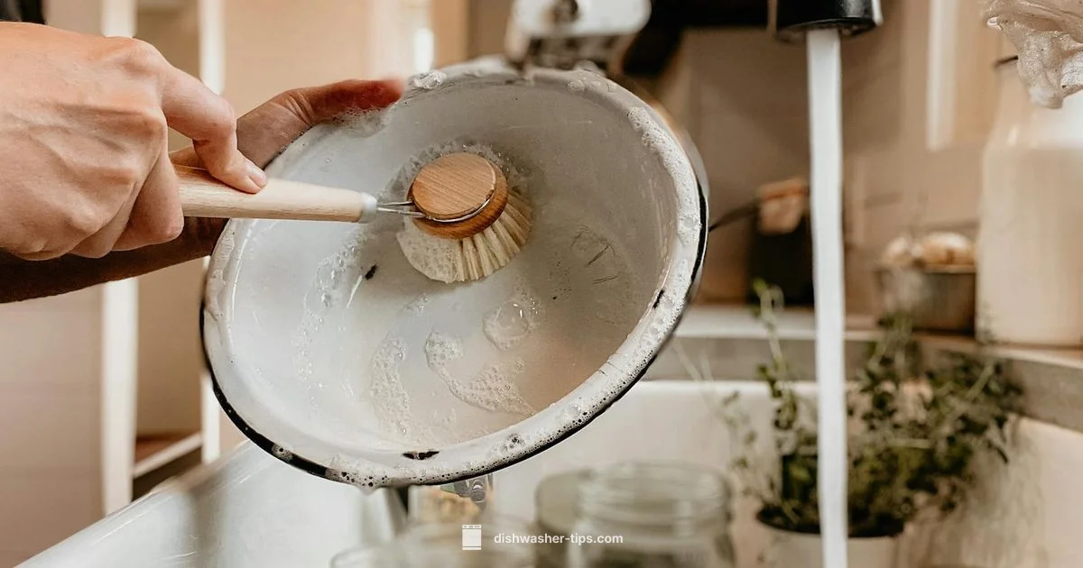 Sink Adapter Guide - Dishwasher Tips