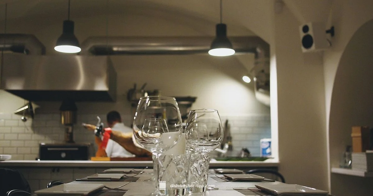 Quiet by Design - Dishwasher Tips