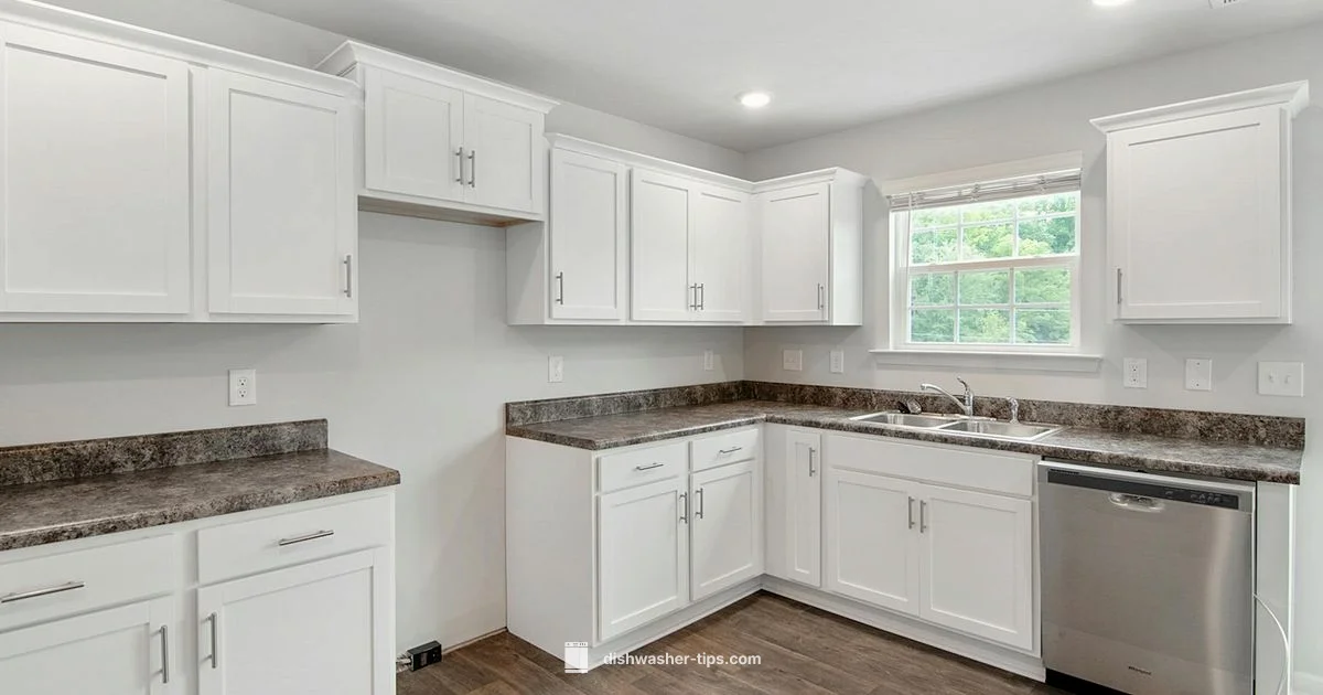 Full-Size Fit - Dishwasher Tips