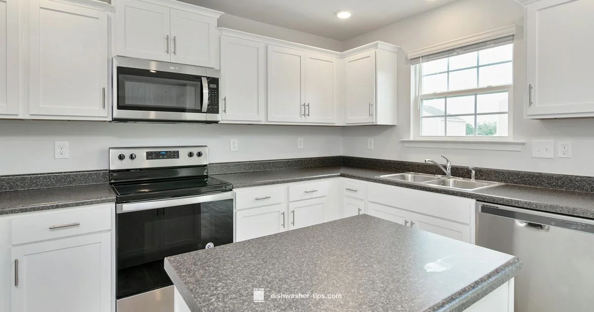 Dishwasher Cleaning - Dishwasher Tips