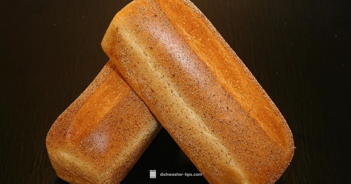 Dishwasher Mold Guide - Dishwasher Tips
