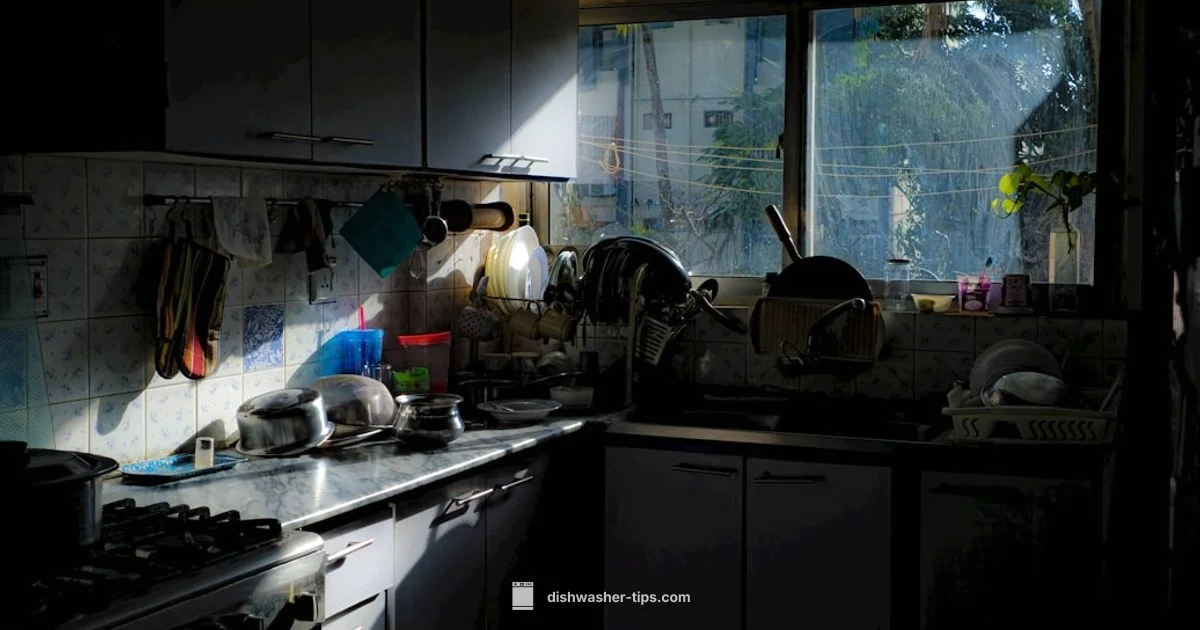 Plastic Odor Fix - Dishwasher Tips