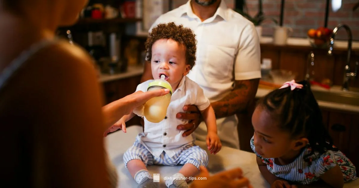 Dishwasher vs Sterilizer - Dishwasher Tips